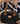 Bolsa Diva